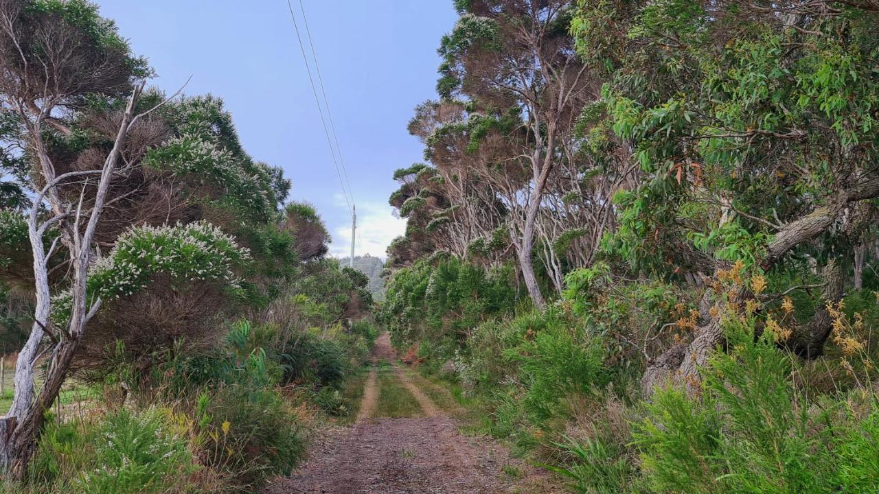 Cape Howe Cottages Lowlands Екстериор снимка